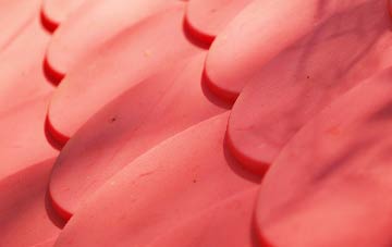 Tang plastic roof costs