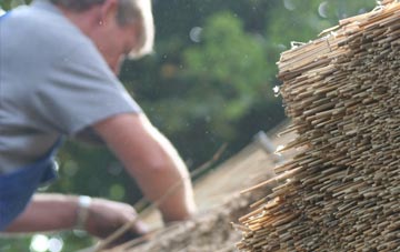 professional Tang thatchers